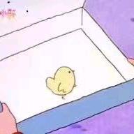 用户7299149253552