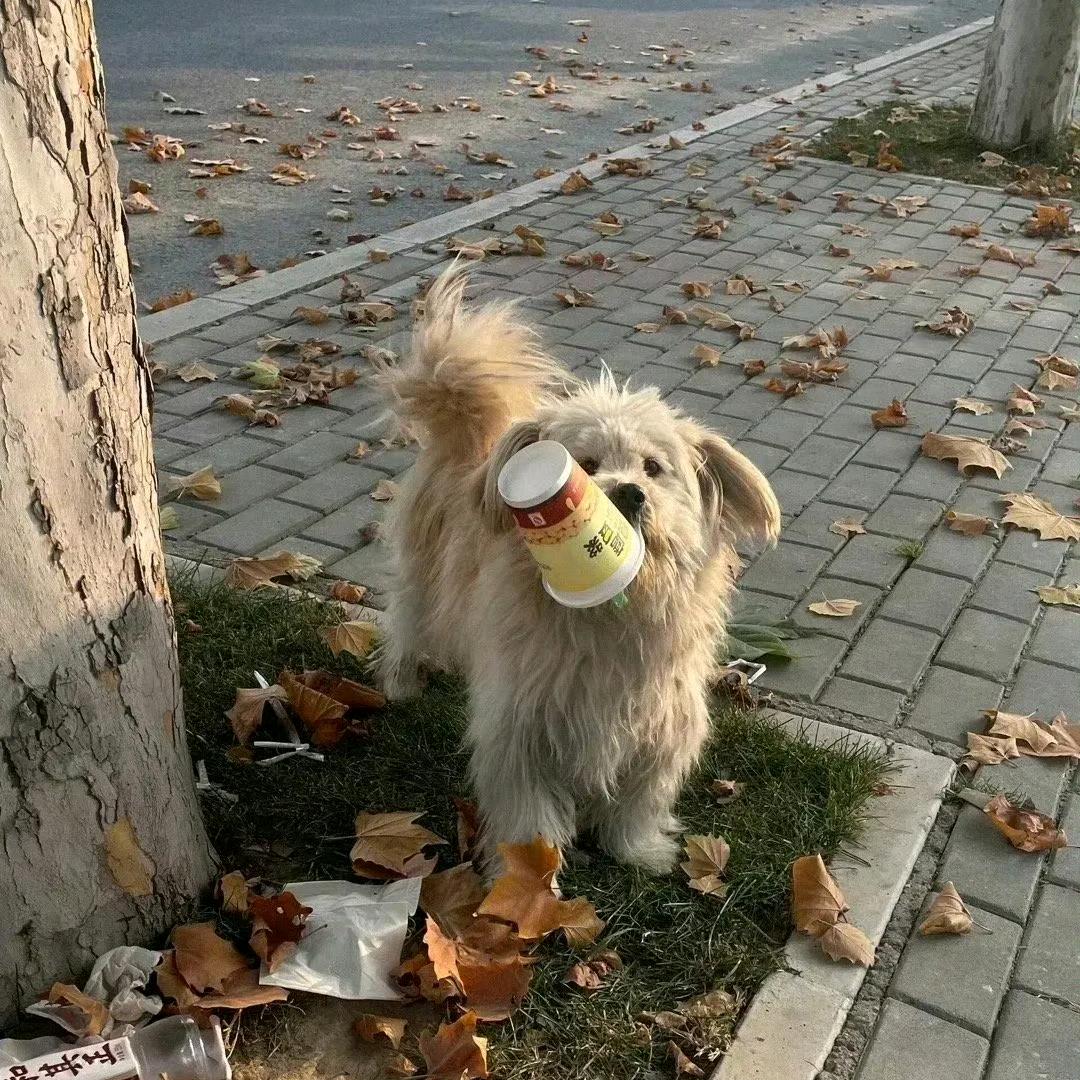 被窝姐姐爱唠嗑