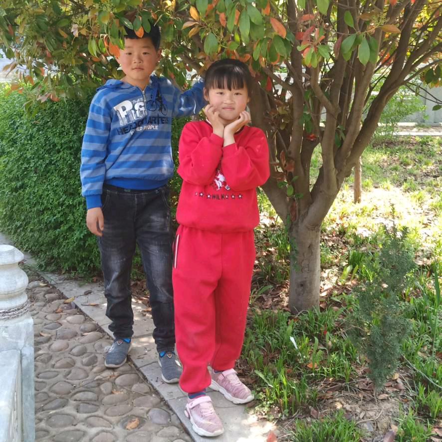 随遇（｡◕‿◕｡)而安