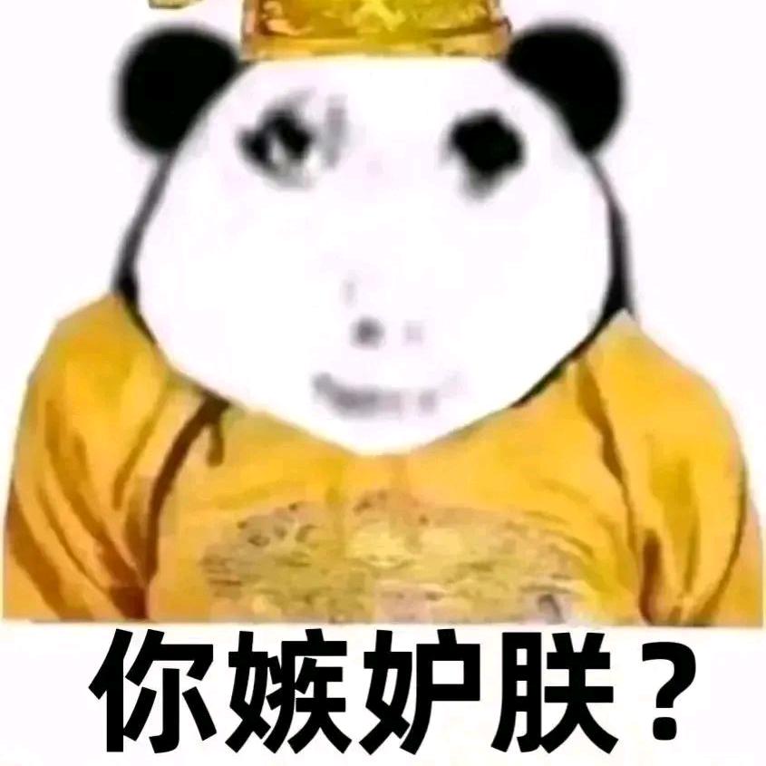 粽子Y