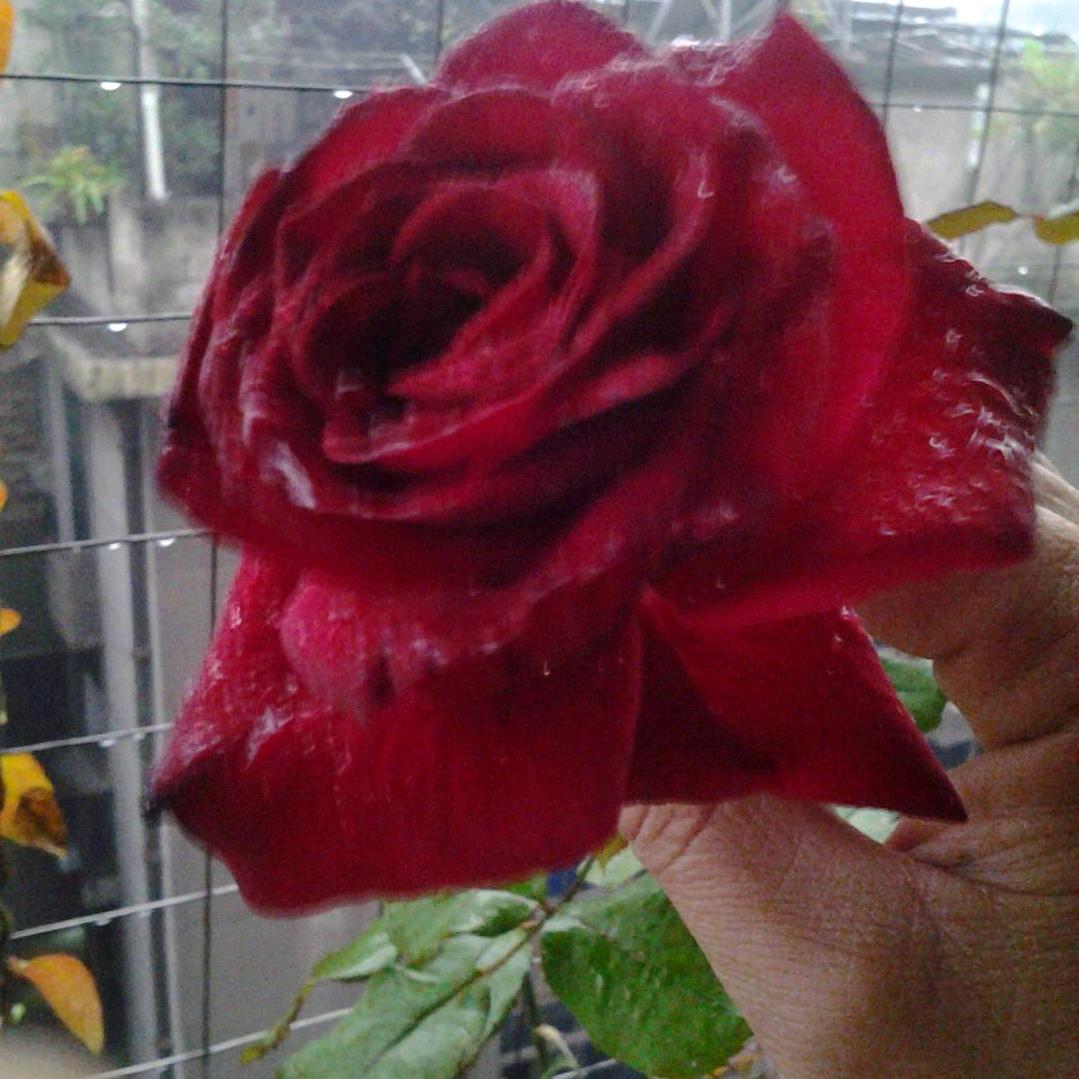 火眼亮心湖北中国广电网络(团城山营业厅)