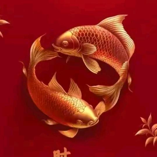 柿柿如意