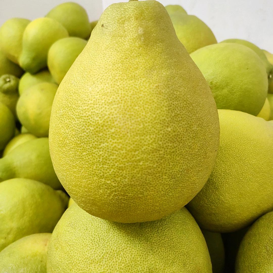 屋卡老树沙田柚