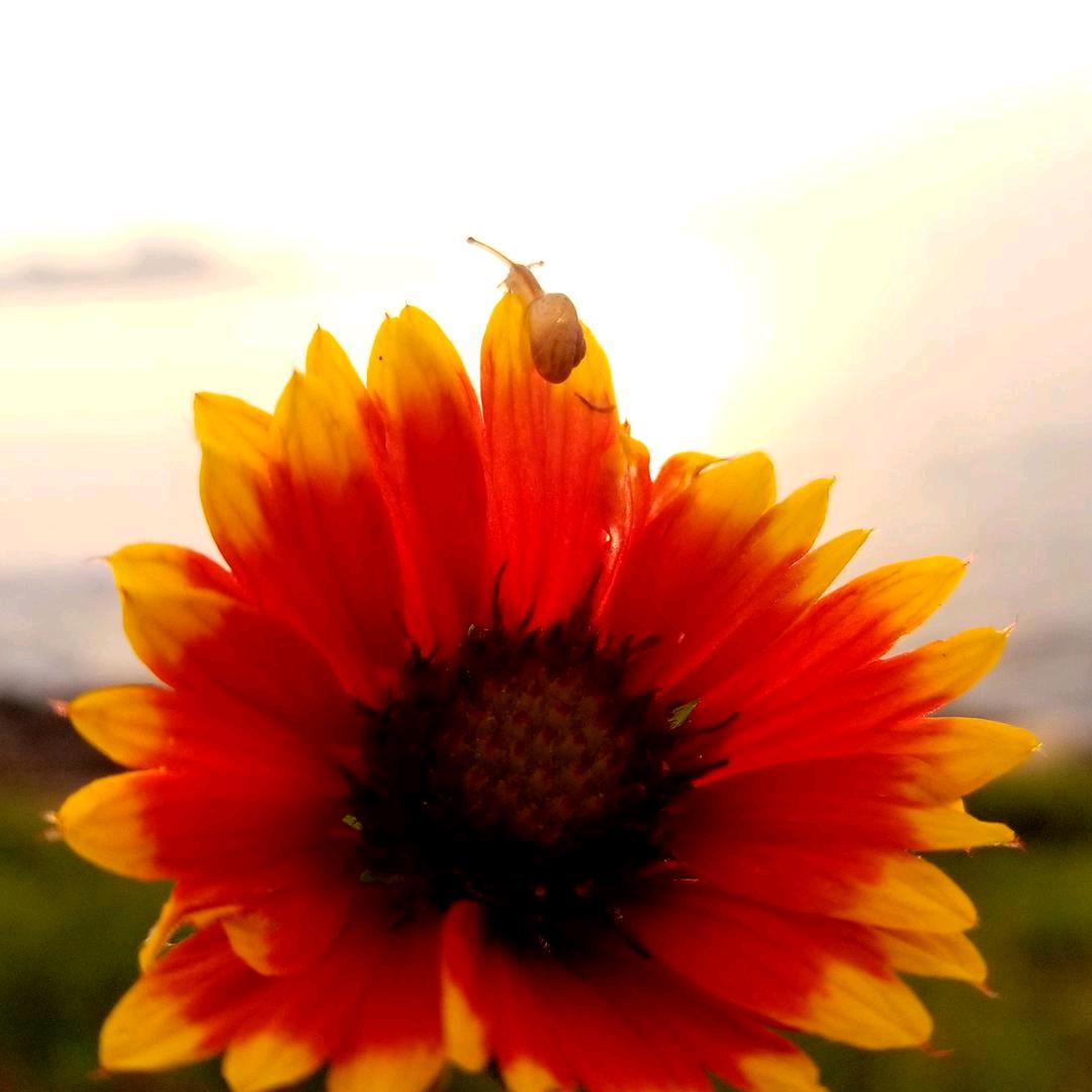 靓生活（涨粉直播间）