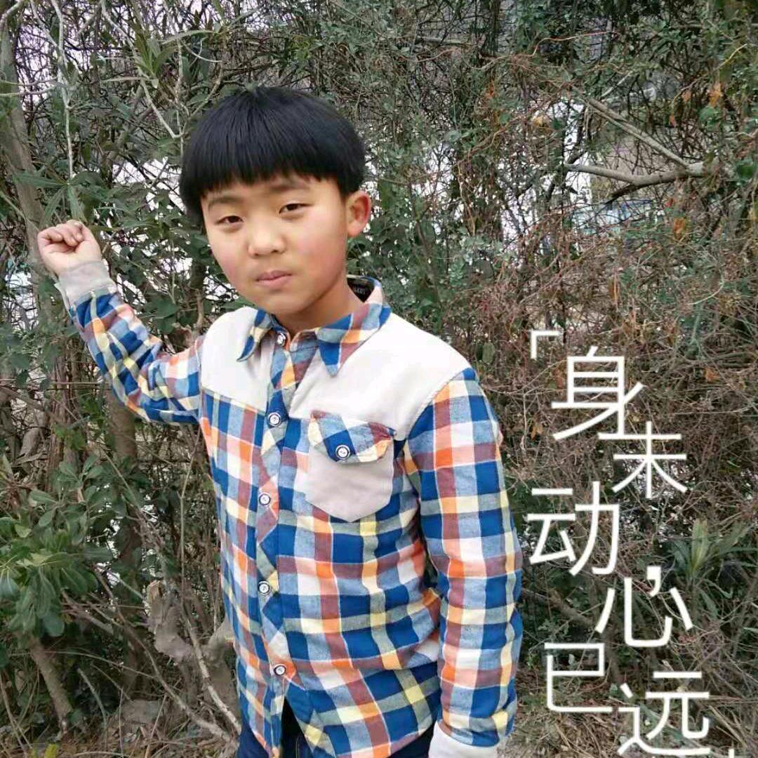 @河南强哥