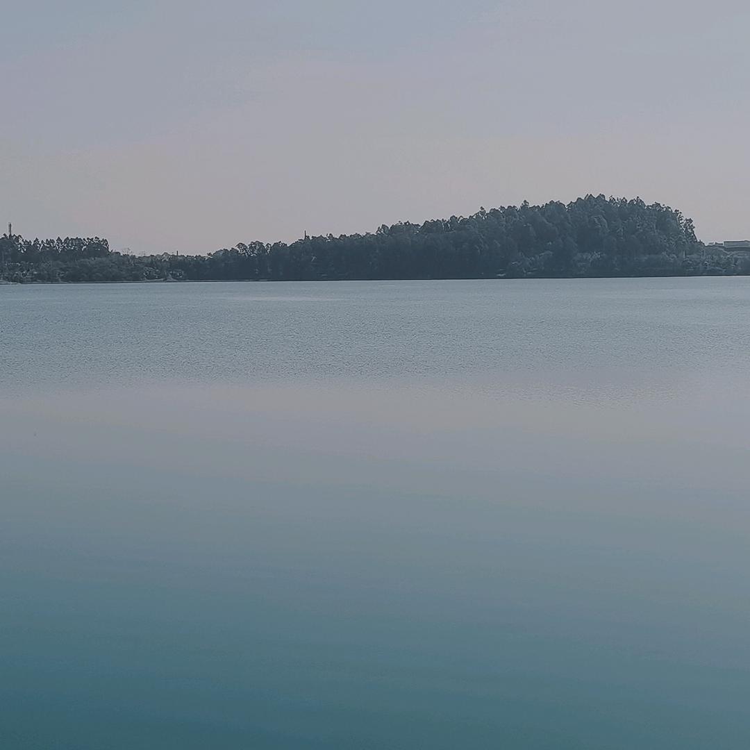 陆