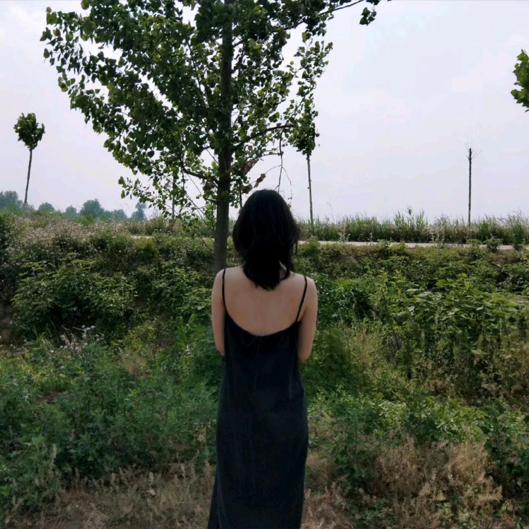 美美的夏天