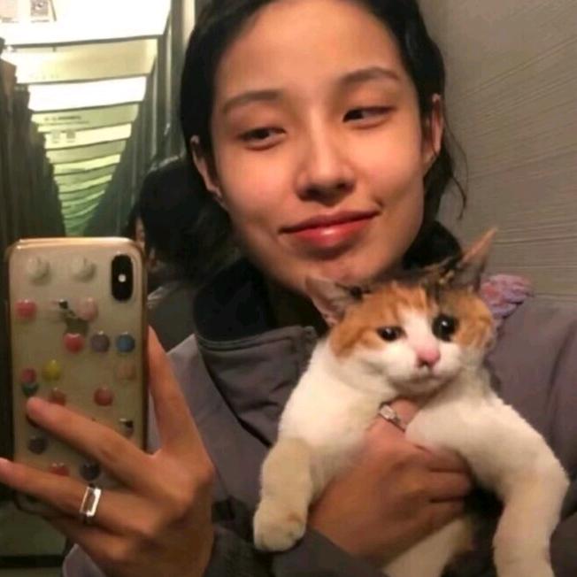 忧郁大蟀锅