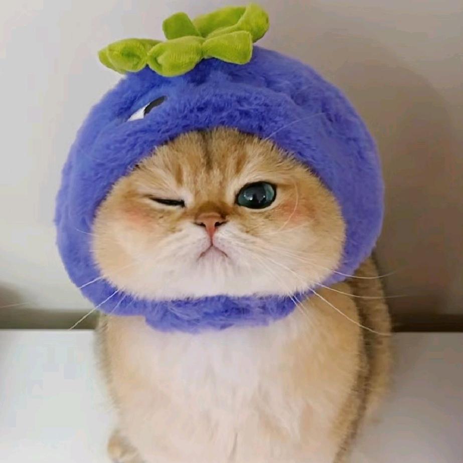 呜呜呜呜呜呜呜呜呜2333