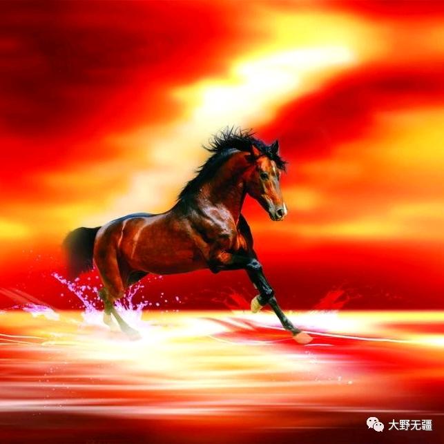 邯郸调脉圣手