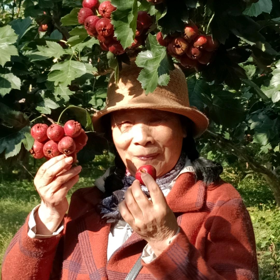 沪松优选178❤️