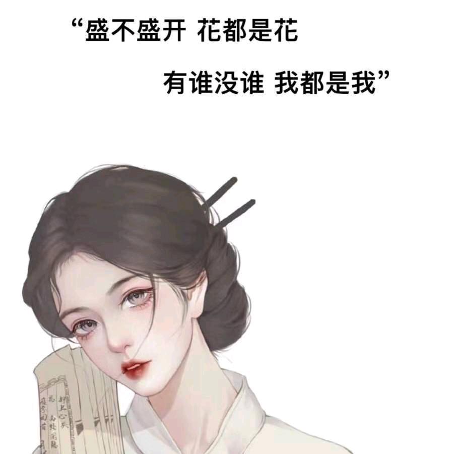 包包大人