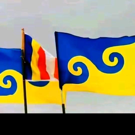 用户6080021030619