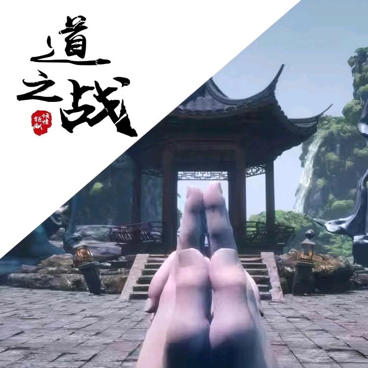 道之战