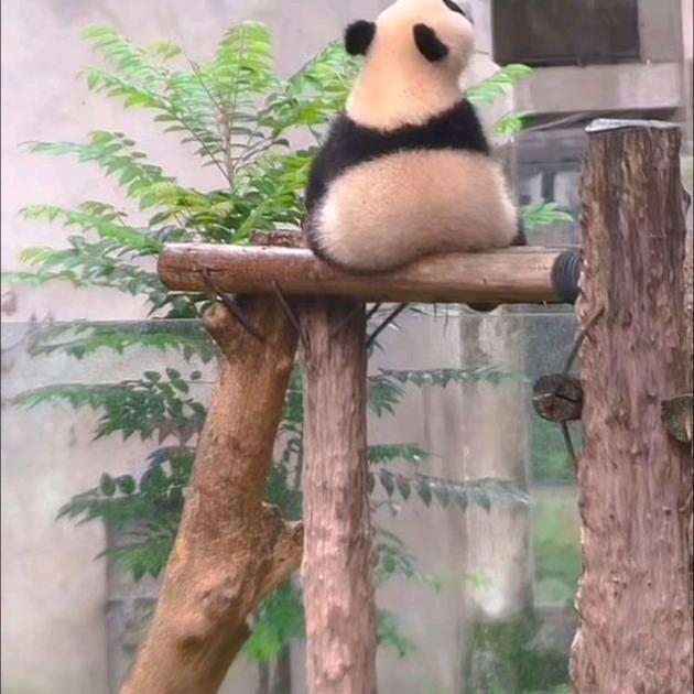 冰点