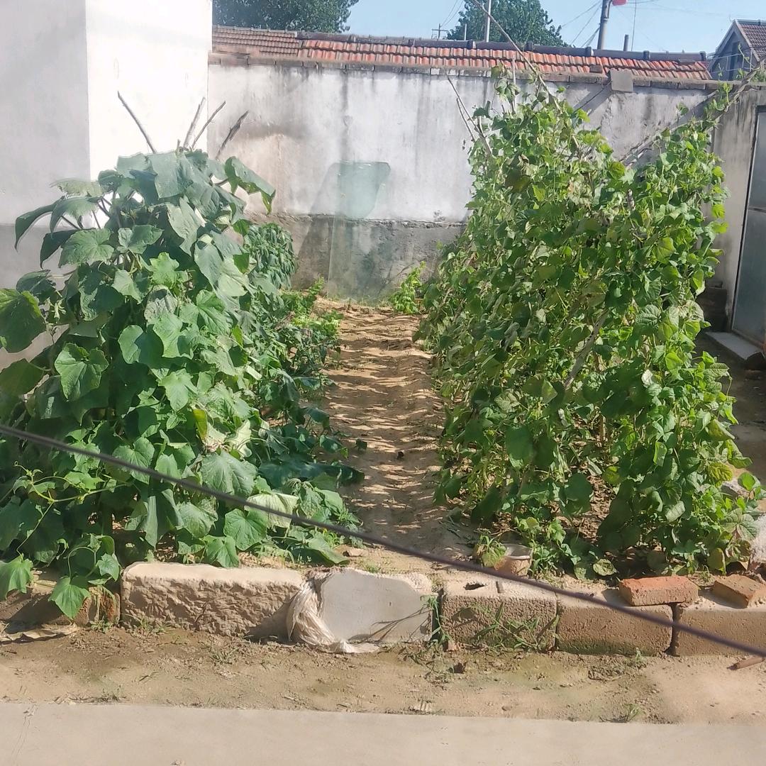 老丁，（黄岛刮腻子）