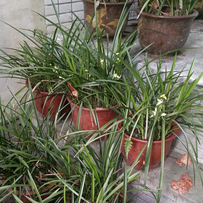 隆昌廖刚文化传媒有限公司