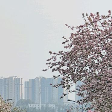 夏天