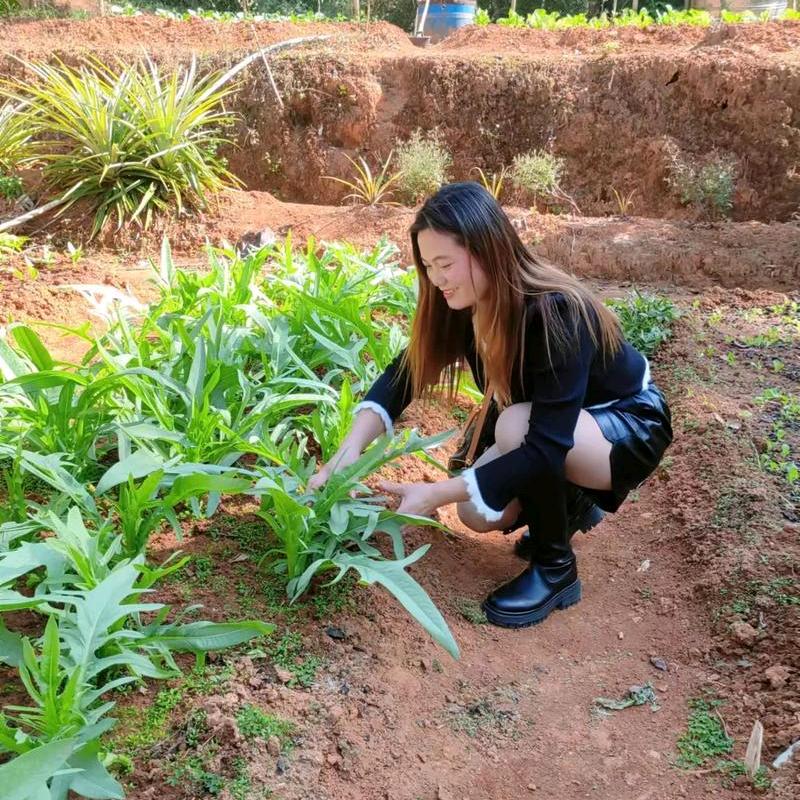 稞离百货