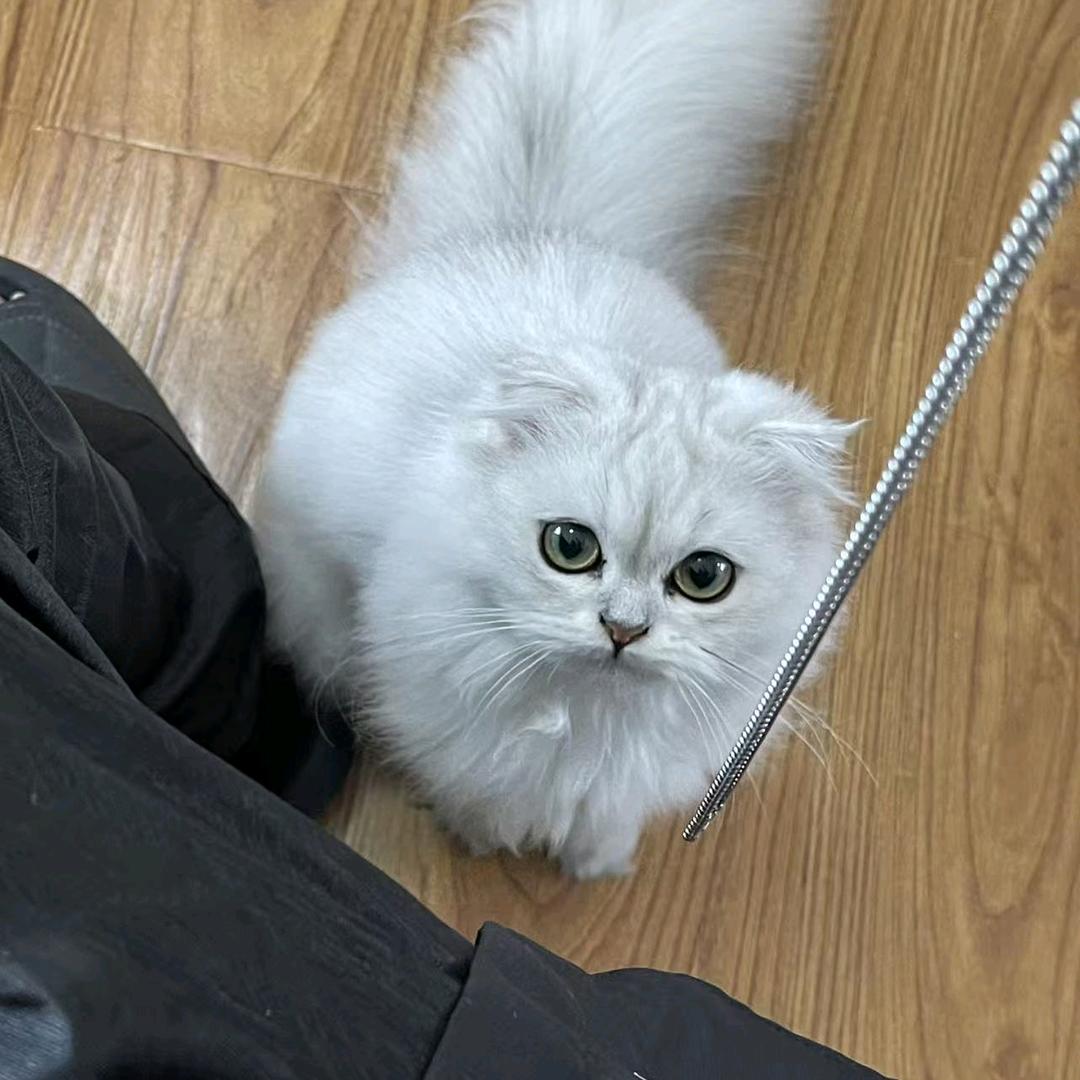 爱慕