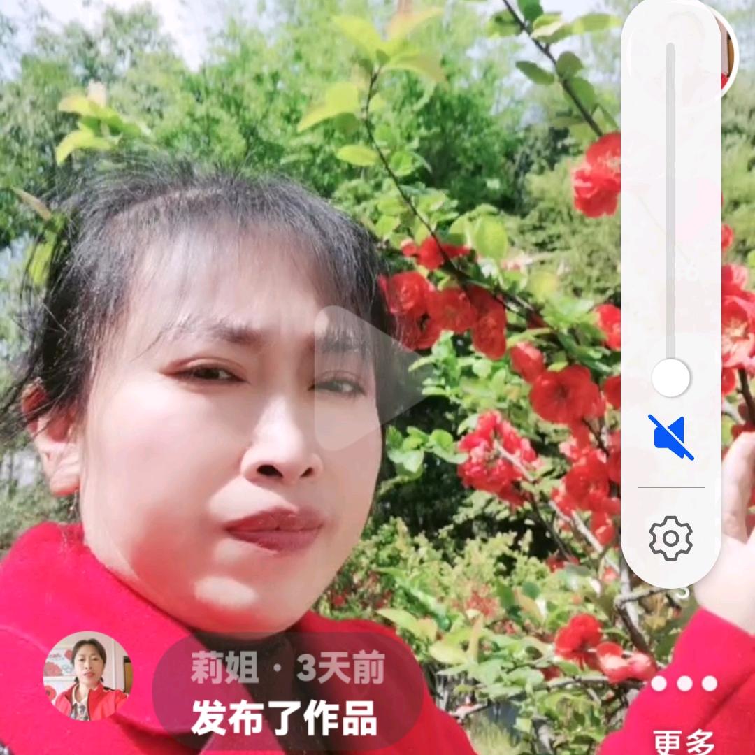 莉姐