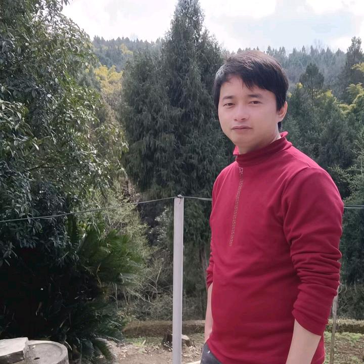 不黎不弃