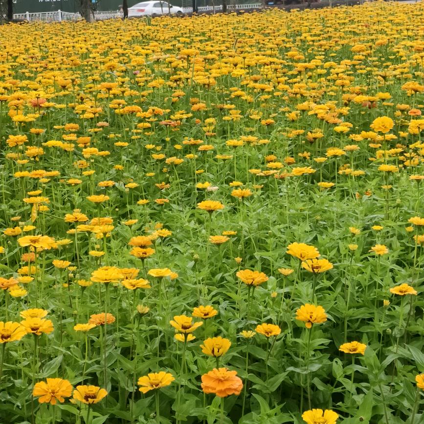 ღ᭄好远ꫛ加满💞