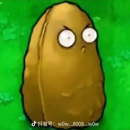 高渐果