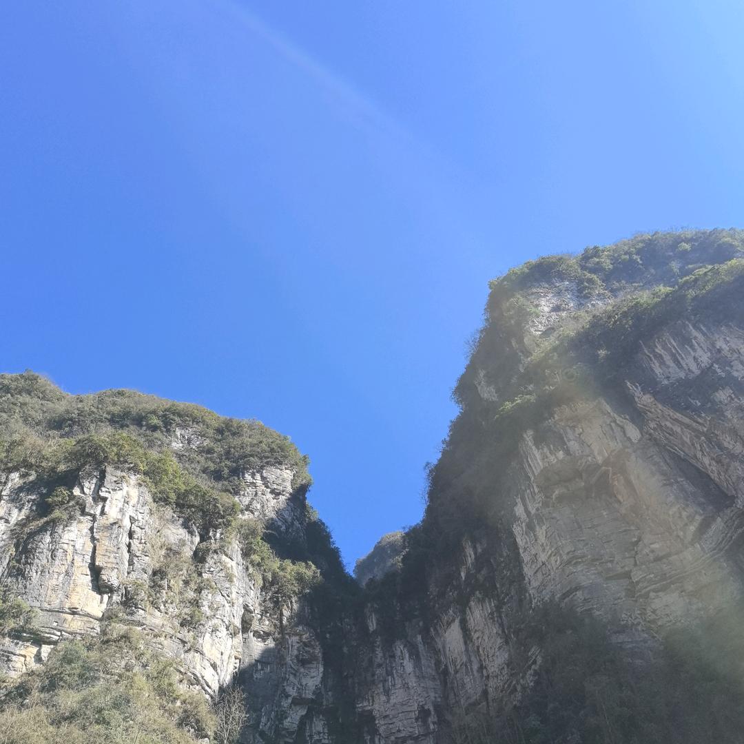 卖手机的小白姐姐