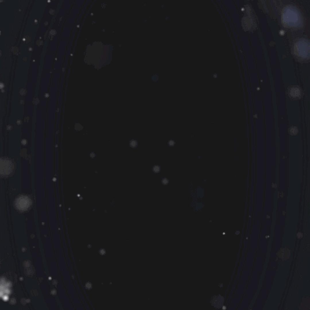 0000