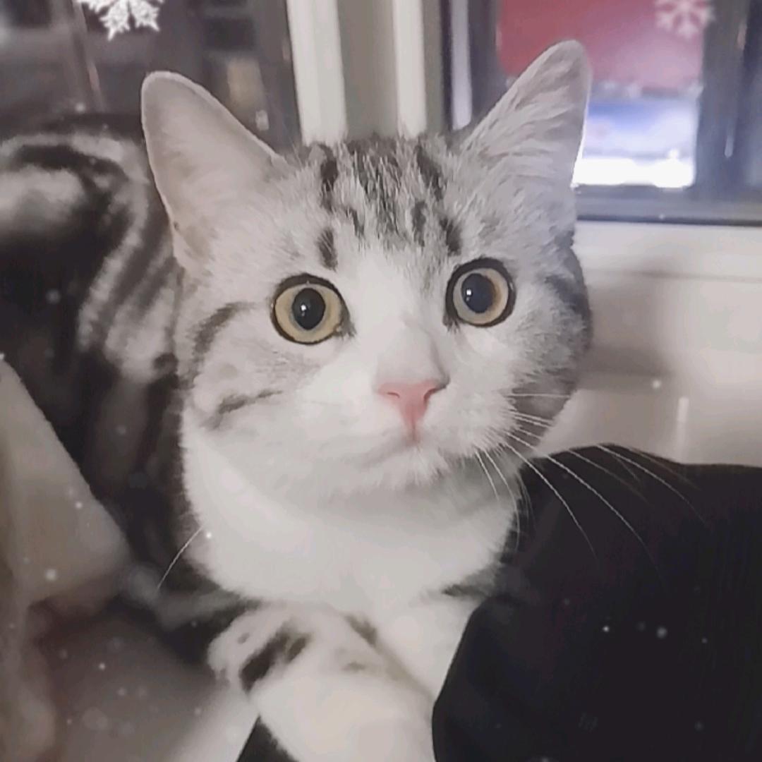 可可爱(๑• . •๑)