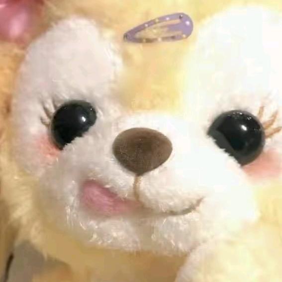 小猫丸咯 •́.•̀