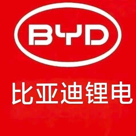 比亚迪锂电池颍上管仲公园店