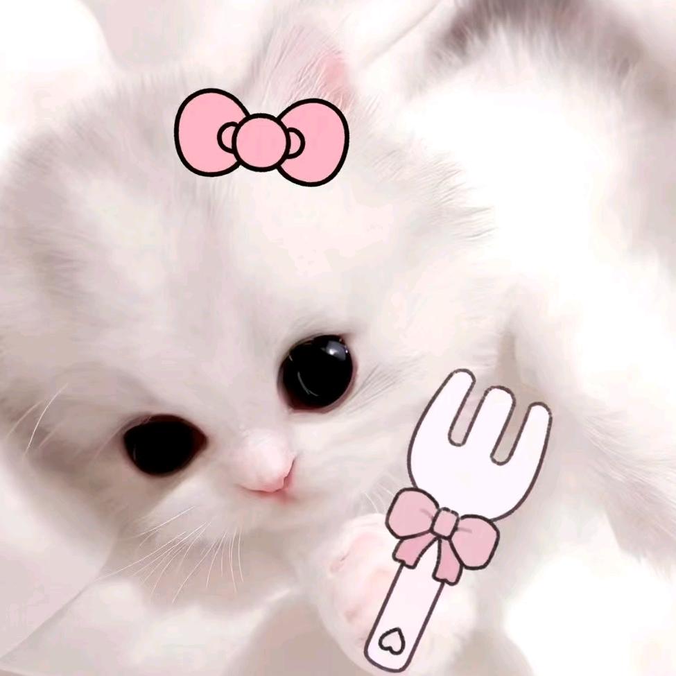 不吃小鱼
