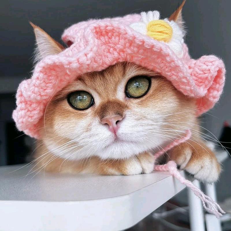 念心