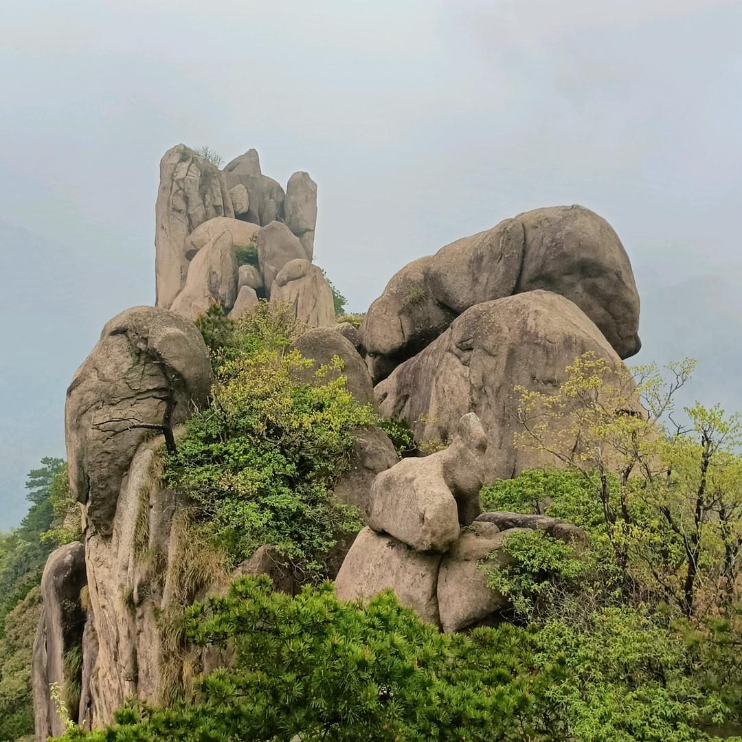 十八子
