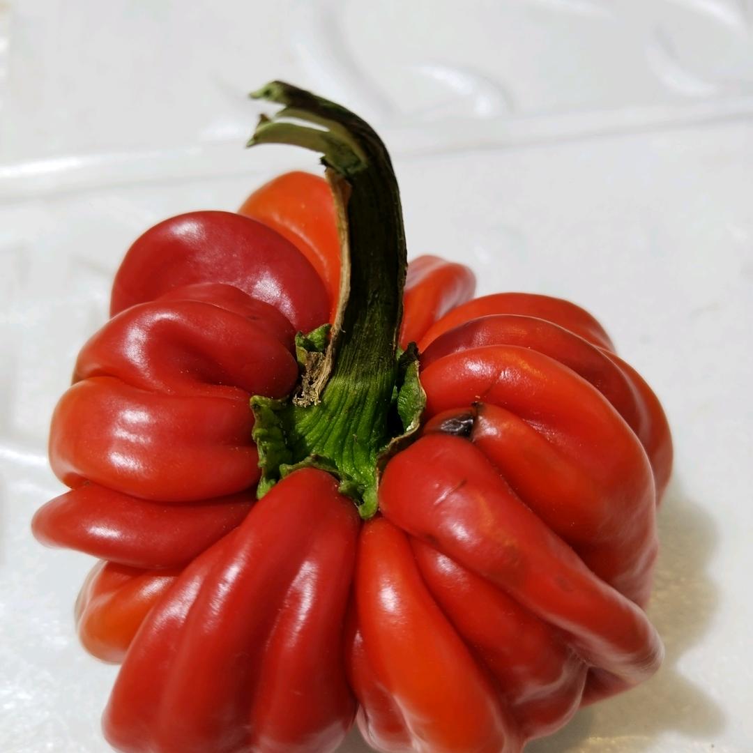 璀璨人生🌺🌺🌺