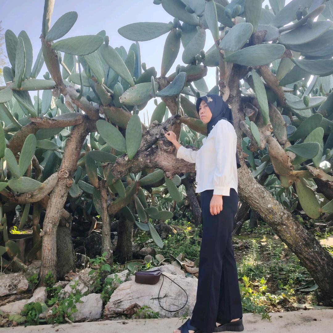 一颗仙人果