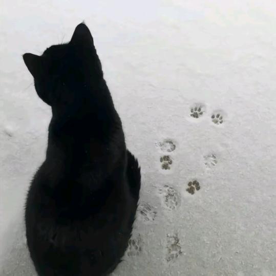 ￴￴ ￴￴ ￴ ￴￴