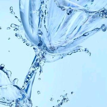 文化稍高的流氓