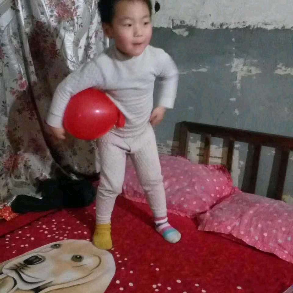 长毛毛
