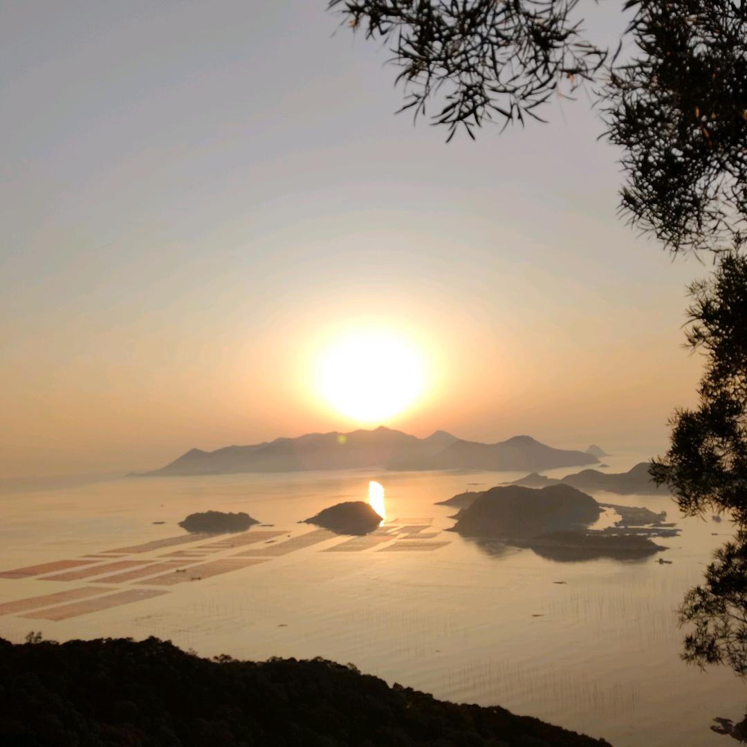 游历于诗词的旅行者