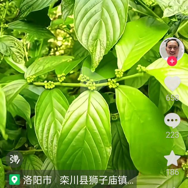 抹不掉的记忆(2019)