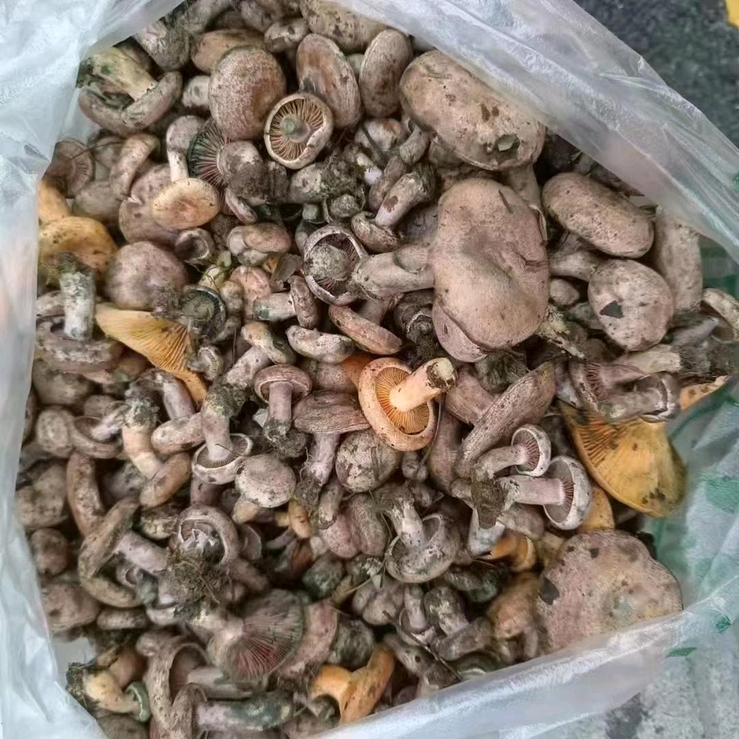 水上飘