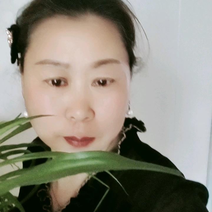 只为添金2