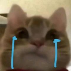 西樂不许再吃了