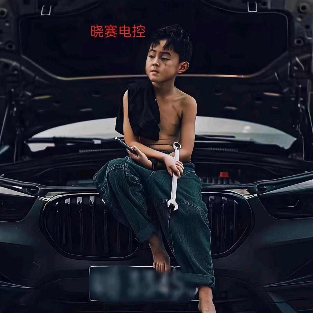 晓赛专业电喷电控油嘴后处理