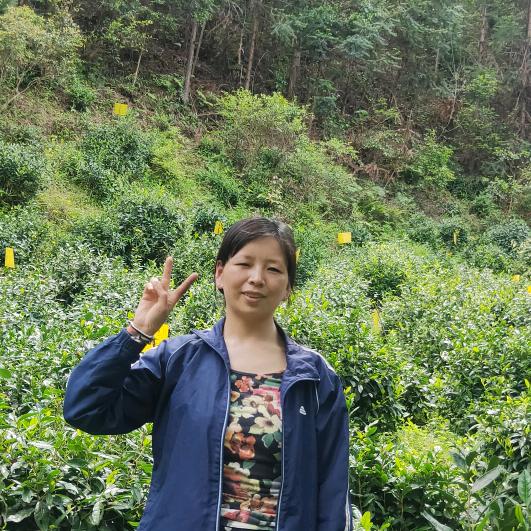 南妹（早6:50首播）