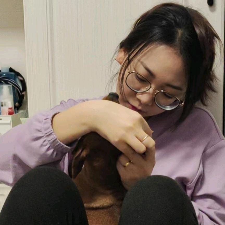 闹闹不是泰迪