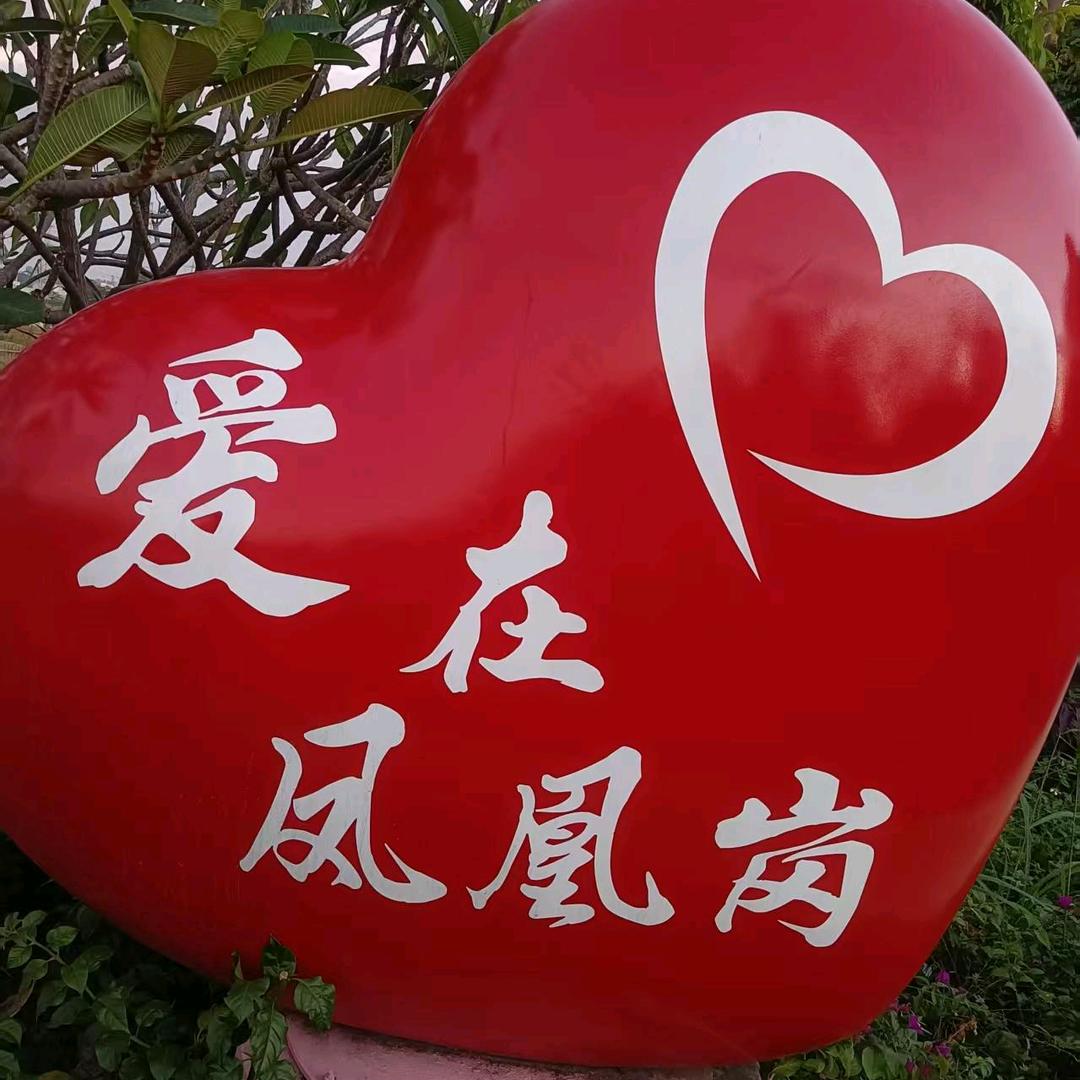 自由飞翔